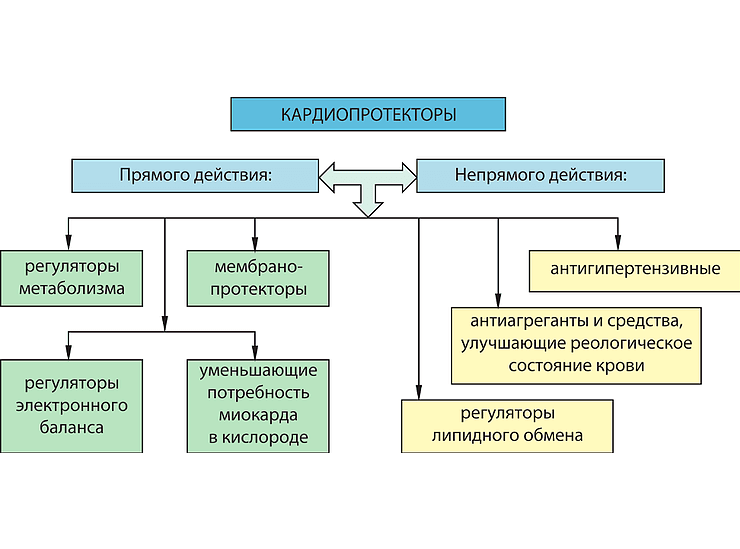 Место Ритмокора в комплексной антиаритмической терапии у пациентов с патологией щитовидной железы